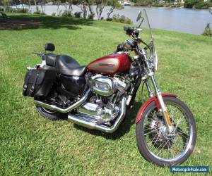 2009 Harley-Davidson Sportster 1200 Custom (XL1200C) for Sale