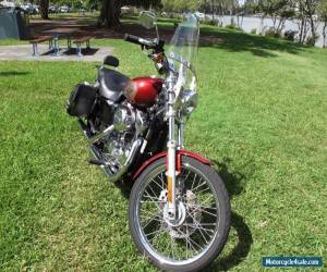 Motorcycle 2009 Harley-Davidson Sportster 1200 Custom (XL1200C) for Sale