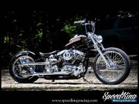 1977 Harley-Davidson SHOVELHEAD