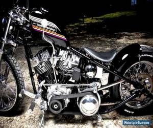 Motorcycle 1977 Harley-Davidson SHOVELHEAD for Sale