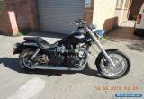 TRIUMPH SPEEDMASTER BLACK LOW KMS 2006 MODEL BONNEVILLE GREAT CRUISER CUSTOM for Sale