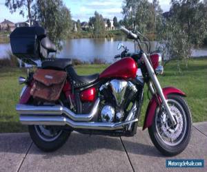 Motorcycle 2008 YAMAHA V-STAR 1300 / XVS1300A for Sale