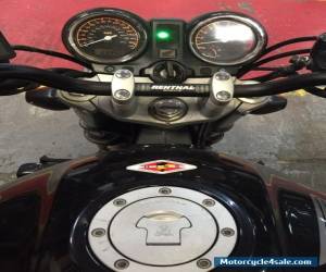 Motorcycle 2003 HONDA CB900F-2 HORNET BLACK for Sale