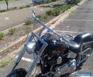 Motorcycle 2001 Harley Davidson Softail (Will consider swap for Night Rod Special) for Sale