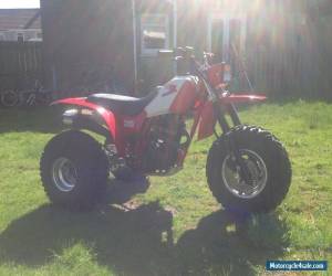 Motorcycle Honda atc 200x for Sale