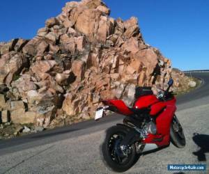 Motorcycle 2014 Ducati Superbike for Sale