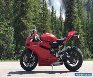 Motorcycle 2014 Ducati Superbike for Sale