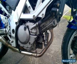 Motorcycle Suzuki SV650 2003 (NEW TYRES) for Sale