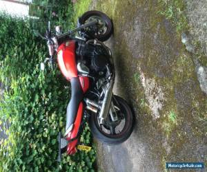 Motorcycle susuki gsx 750w  streetfighter for Sale