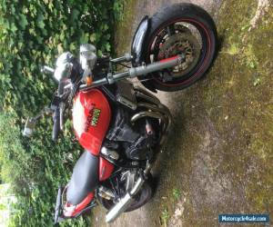 Motorcycle susuki gsx 750w  streetfighter for Sale