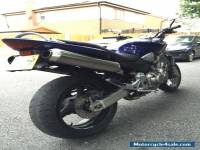 Honda CB900 Hornet Amazing Condition NEW BATTERY 9 Months MOT Renhal Bars