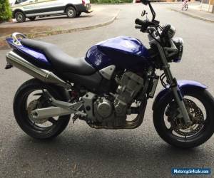 Motorcycle Honda CB900 Hornet Amazing Condition NEW BATTERY 9 Months MOT Renhal Bars for Sale