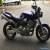 Honda CB900 Hornet Amazing Condition NEW BATTERY 9 Months MOT Renhal Bars for Sale