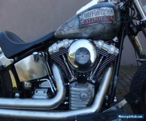 Motorcycle HARLEY DAVIDSON SOFTAIL TWINCAM CUSTOM  for Sale