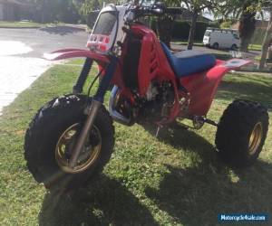 Motorcycle 1985 Honda ATC250R for Sale