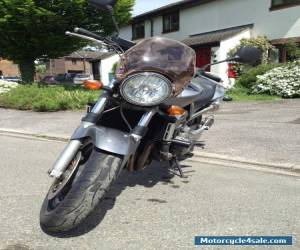 Motorcycle 2002 HONDA CB900F-2 HORNET SILVER for Sale