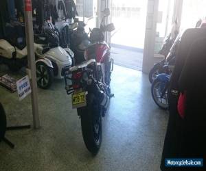 Motorcycle 2015 Suzuki DL1000 V-Strom for Sale