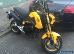 Honda MSX 125 grom VGC 342 miles only mature lady owner for Sale