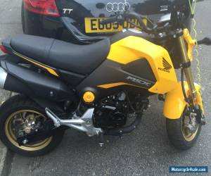 Motorcycle Honda MSX 125 grom VGC 342 miles only mature lady owner for Sale