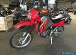 2006 Kawasaki KLR for Sale