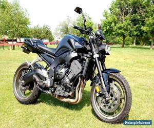 Motorcycle 2009 Yamaha FZ for Sale