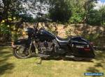 Harley Davidson 2010 POLICE Road King for Sale