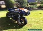 Buell Xb12R for Sale