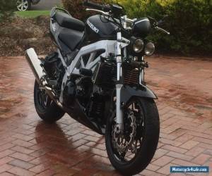 Motorcycle suzuki sv1000 for Sale