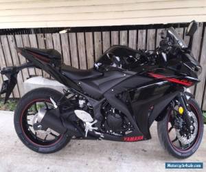 Motorcycle 2015 Yamaha R3 for Sale