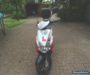 Motorcycle 2010 YAMAHA CS 50 JOG RR WHITE for Sale