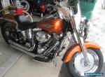 2000 Harley-Davidson Softail for Sale