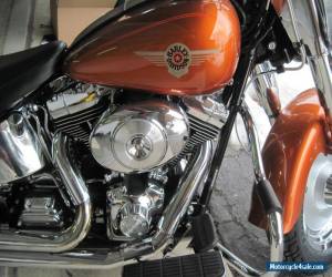 Motorcycle 2000 Harley-Davidson Softail for Sale