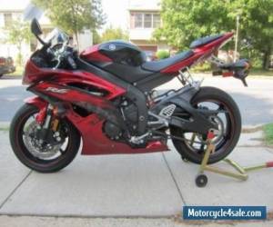 Motorcycle 2013 Yamaha YZF-R6 for Sale