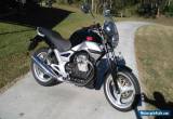 2010 Moto Guzzi Breva 750 for Sale