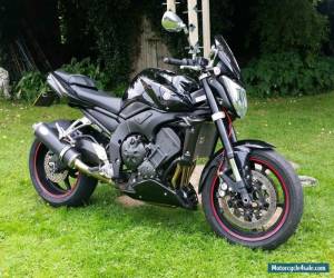 Yamaha FZ1N 1000cc superbike, sports bike, naked, street fighter.  for Sale