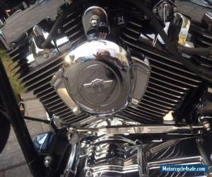 Motorcycle 2003 Harley-Davidson Softail for Sale