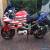 1997 SUZUKI  TL1000S American Flag for Sale