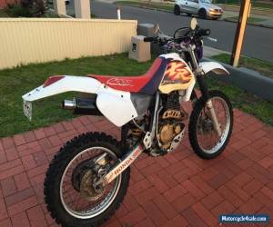 Motorcycle Honda XR400R for Sale