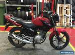 2013 YAMAHA YBR 125 RED for Sale