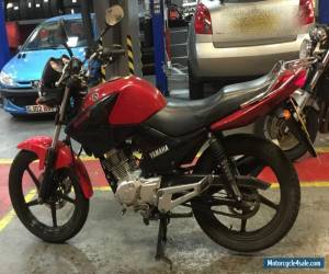 Motorcycle 2013 YAMAHA YBR 125 RED for Sale