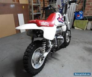 Motorcycle 1995  HONDA  Z 50 R  " Golfers Special "  Great Condition for Sale