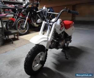 Motorcycle 1995  HONDA  Z 50 R  " Golfers Special "  Great Condition for Sale