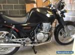 Honda XBR500 Cafe racer for Sale