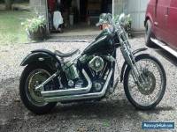 1988 Harley-Davidson Softail