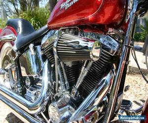 Motorcycle Harley Davidson 1995 Heritage Softail Show Bike for Sale