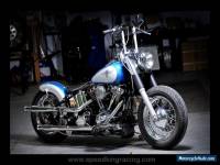 1995 Harley-Davidson Softail