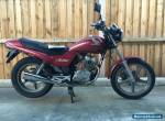 2000 Honda CB 250 LAMS approved LOW K'S, REGO + RWC + brand new tyre + spare key for Sale