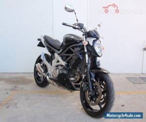 Motorcycle 2009 Suzuki Gladius SVF650 for Sale