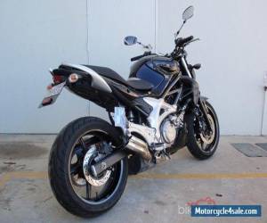 Motorcycle 2009 Suzuki Gladius SVF650 for Sale