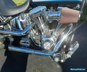 Motorcycle 2002 Harley-Davidson Softail for Sale